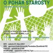 5. ročník charitativního volejbalového turnaje O POHÁR STAROSTY městského obvodu Pardubice II